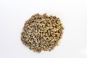 Semilla de Girasol 1 kg.